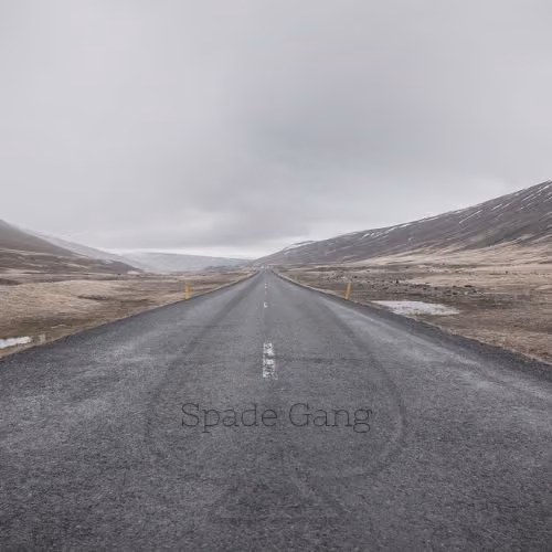 Spade Gang