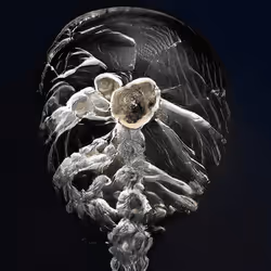 93923887731966639760197662534300547726212510779526051617655967301920006078465