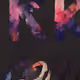 74853516601892071662144060192553967697071468656819621122668855623616481460225