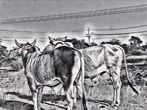 Item #104081554350243728595055341576756289226358694412000216003681327262812430401537 Media