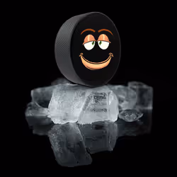 3430565109855428148014555979724028545778279334899879716249393172591323119617