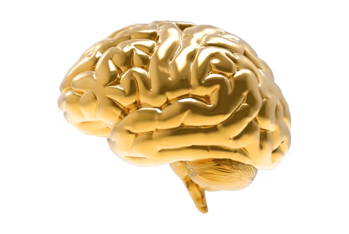 Untitled Collection #45430609