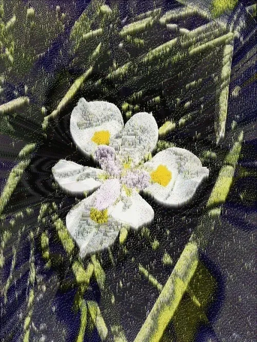 Item #101161116903279979508954088036057856282764512549626493702997162062597977014273 Media