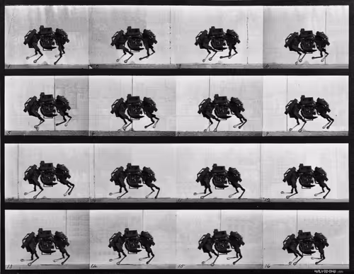 Item #103667723809106260564128461551872709930440343821852494988381502478543166111745 Media