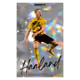 81725296862106959820573864248280944171621369964450151400367975253870527905793