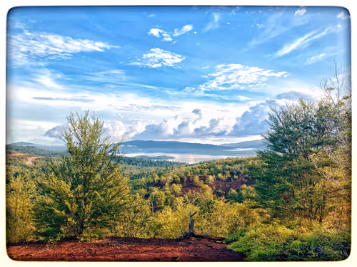 Untitled Collection #58420889