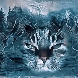 Cat in Water