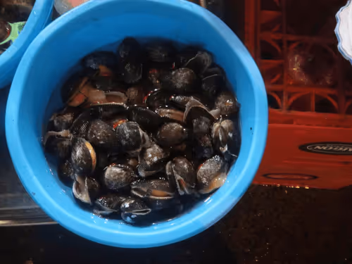 Item #47740723628740992811774374688397150768592318939959493340400451296823454203905 Media