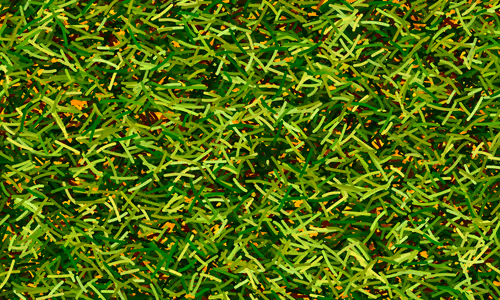 Item #37671797252818830032645010018488858802778721291022166209366081415781650792449 Media