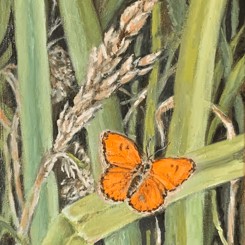 Item #72577463015560647120120510193448575277146741692858177696976393641550975860756 Media