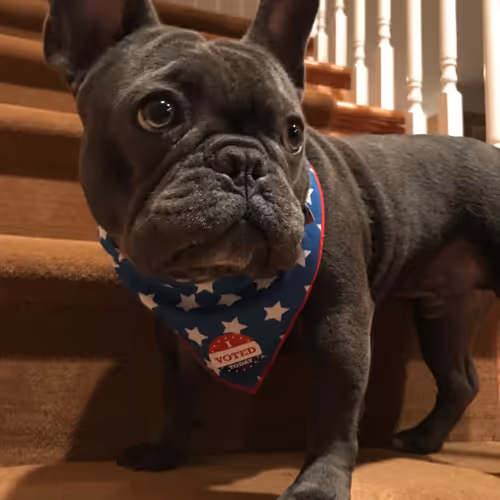 99031261785432219130552668818269695456905868997165113515571762514964300955649