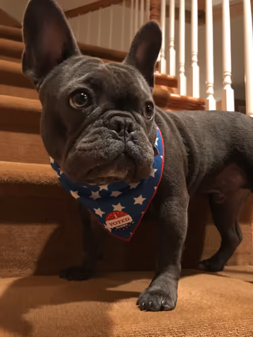 Item #99031261785432219130552668818269695456905868997165113515571762514964300955649 Media