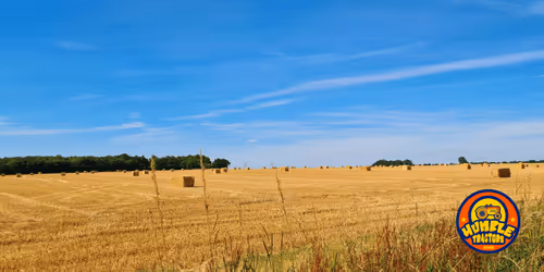 Item #35863194083128256797647772425284652682645032595179500226087347086736037511169 Media