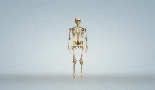 Item #92490546731876682678168380181050496848787087790758037153830410097077556084737 Media