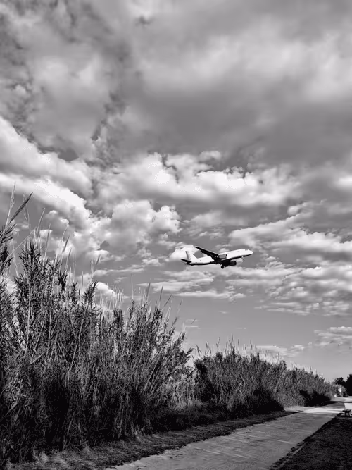 Item #36816001644917254617906175698674191035781868216999975889902342329967101083649 Media