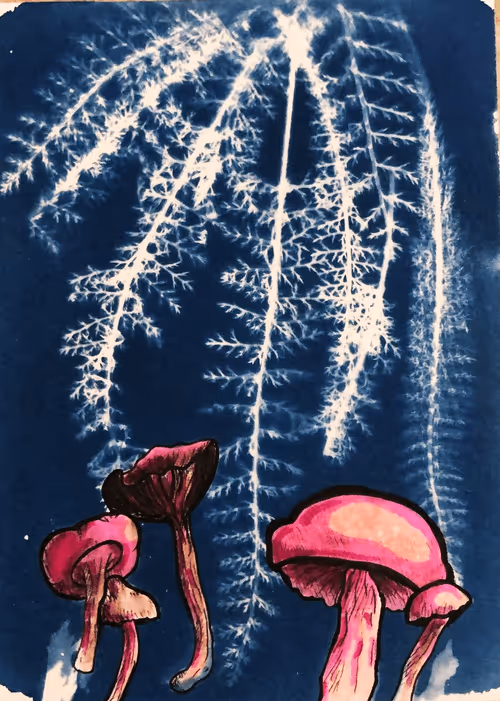 Item #79708962715556691089278777526445721574606898875148265995553784942504672493569 Media