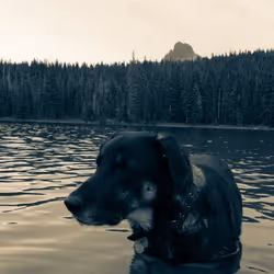 2005862319158051831365229387864138466486092287762213337058068739520236355585