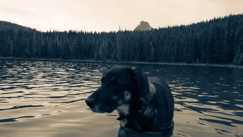 Item #2005862319158051831365229387864138466486092287762213337058068739520236355585 Media