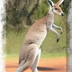 108065665434435766760522700651324844344204555372000129092130960396021558935562