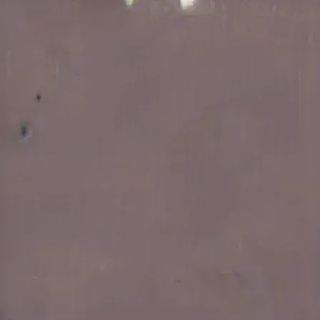 Item #69582821610154797198649513452028805967157135500521546609678814669514960011265 Media