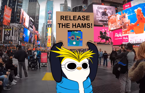 RELEASE THE HAMS!