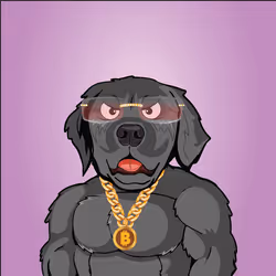 91655410557744893771831586830451060185116832686887291820253910285166049230849