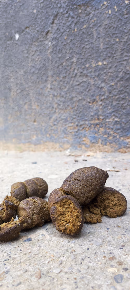 Item #46030170572338065013954339165187362546387663606248340675285172517843610107905 Media