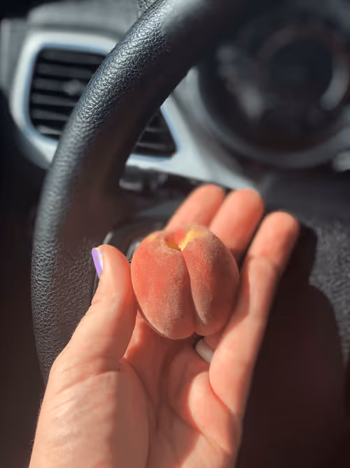 Item #115344379146246064240773863534986848542272630422877539424953159156244626276353 Media