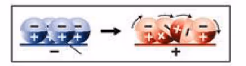 Untitled Collection #65863363