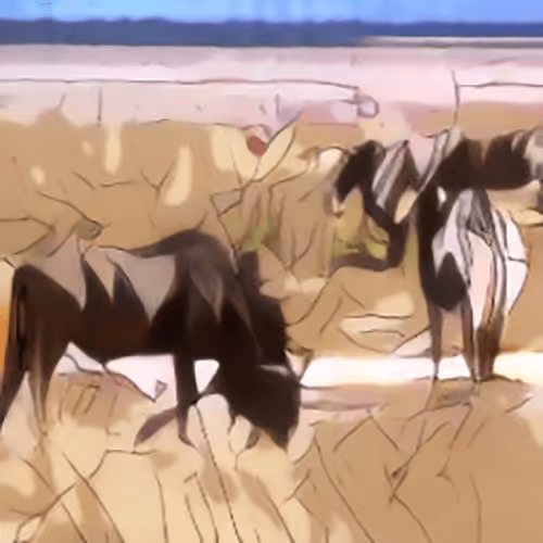 Item #100699266862010265980474664760375873767511284921164942724068626784276891828225 Media