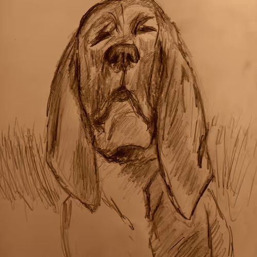 59134823550596979964953959266875194704433400244529019100266579037551228616705