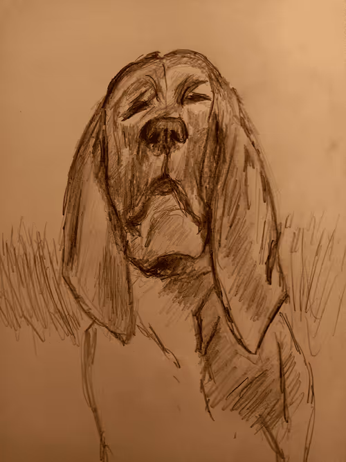 Item #59134823550596979964953959266875194704433400244529019100266579037551228616705 Media