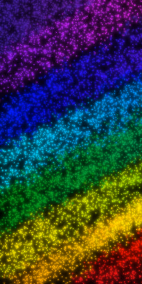 Item #99021383278277304226038799398892392514620378209271725301300478044137718808577 Media