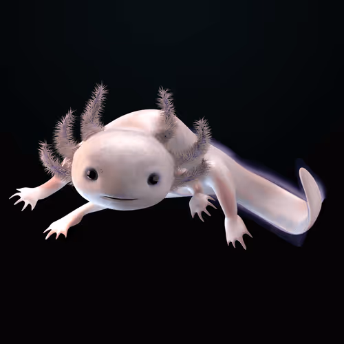 Item #39982110375740153587505644478940195082872270202471884348459982242557754081281 Media