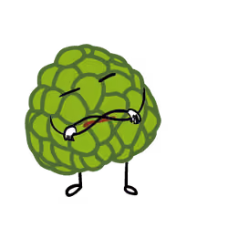 SugarApple Man 20