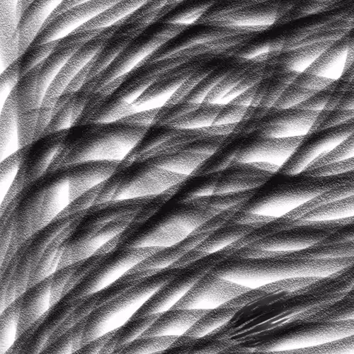 Untitled Collection #39371080