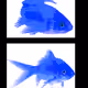 115331792245215841867933500028462207017797017530976970697161349302464144211969
