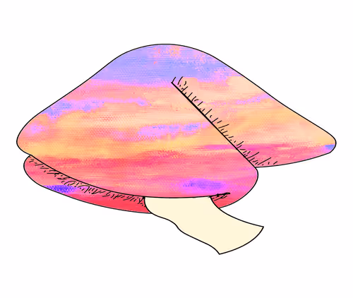 Item #56177743258238353915692039261457950691196406802314425732675602442039075012633 Media