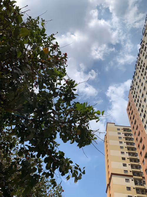 Item #80544021784026682733405216277995046539024496626097833728540683774034366693377 Media