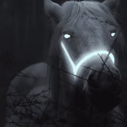 Kurt
