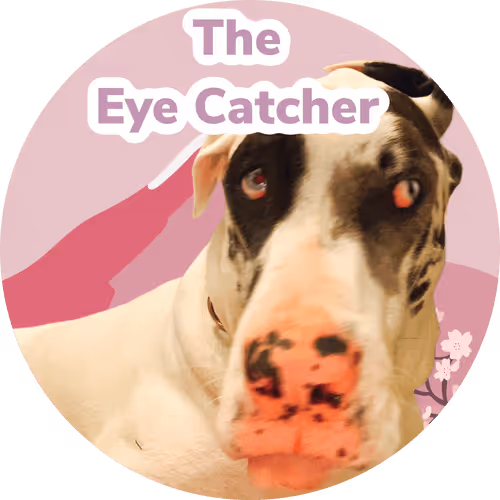 Item #15794007923744964589463280162252880392984187578375107792652798227902382473217 Media