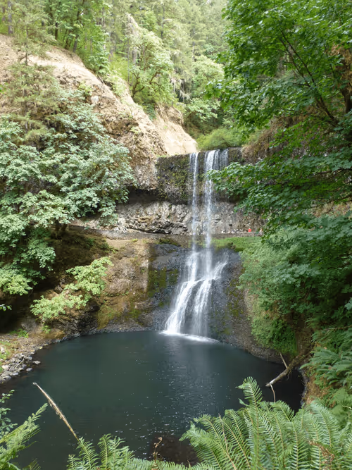 Item #58794710509392551542040062735070557949504527085713565262229554311458566701057 Media