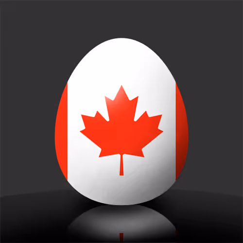 Item #80750163588885761089715102395075665255252112965699192882614173914401502920705 Media