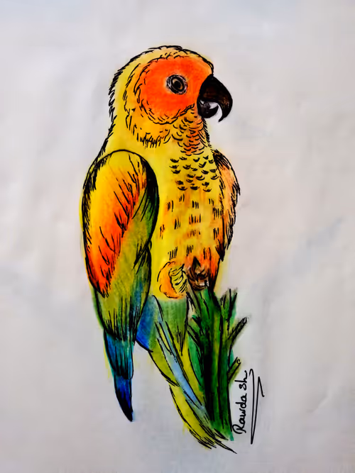 Item #63584735983505984965948687429554359408745053057398329823261789479966653546497 Media