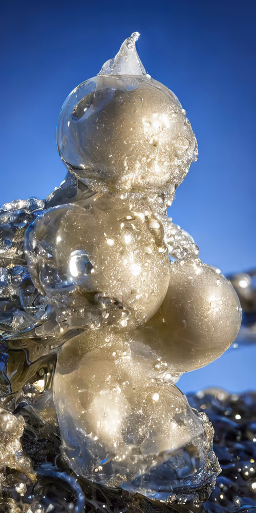 Item #53204195999668057401361450590388499232587888718751066529720239256515827990529 Media