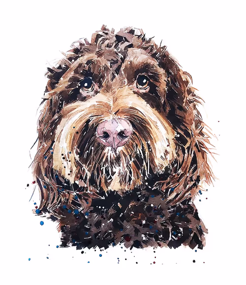 Item #15308155937593783866228062712704217529335676444312394672786838593035112022021 Media