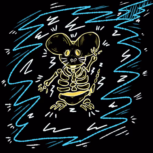 Shock Rat!