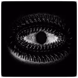 51470273785012029928071263703376802076967363660265322373392265799371063296001