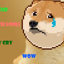 Doge Punk