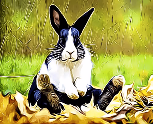 Item #14991412367112635153744195855119139235868620439345806848412127231653835702273 Media